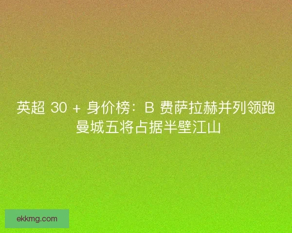 英超 30 + 身价榜：B 费萨拉赫并列领跑 曼城五将占据半壁江山